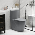 Light gray matte one-piece toilet, comfort height, dual-flush — image 2