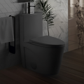 Matte Black One-Piece Toilet — ADA Height, Dual Flush — lifestyle 1